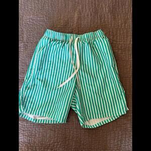 Goodfellow Men's Aqua Blue Green Striped Swim Shorts Sz. Small